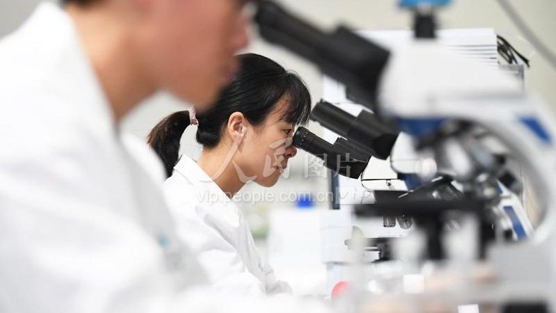 CDMO定制研发设备清单：揭秘医药研发中的关键装备