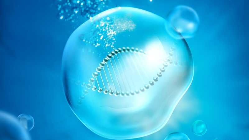 OEM定制移液器：揭秘生物实验室的精细操作利器