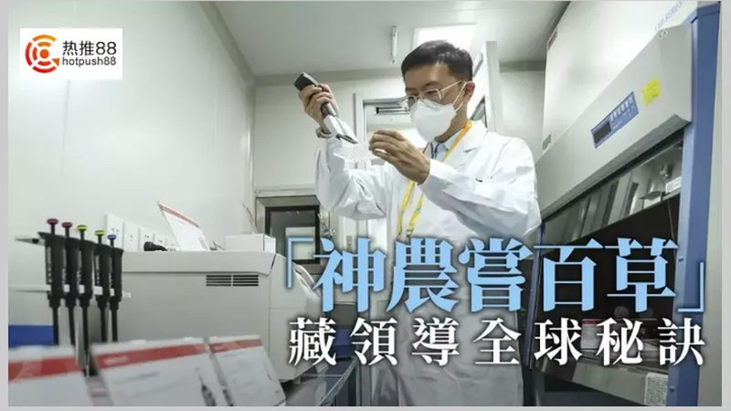 CRS平台：价格与材质背后的考量因素