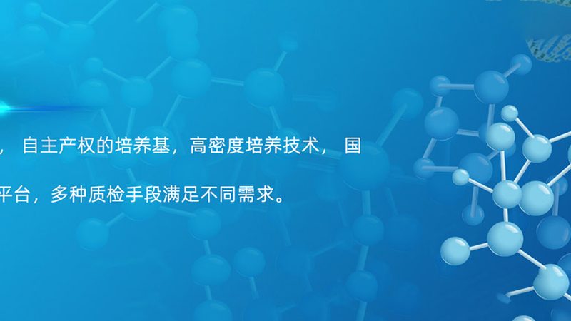 重组抗体表达服务：生物医药研发的得力助手**
