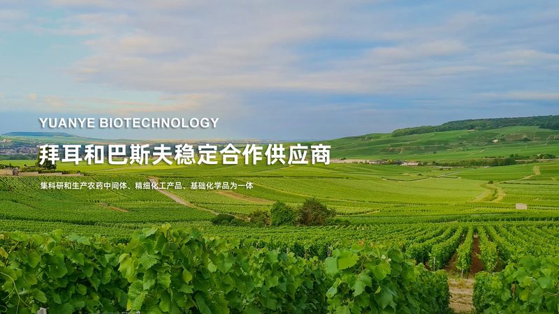 定制化时代，单克隆抗体原料药规格如何选？**