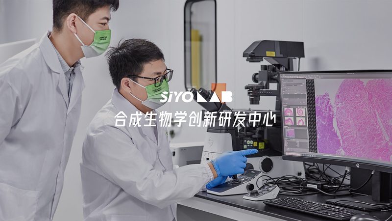 定制化抗体：医药研发的精准利器**