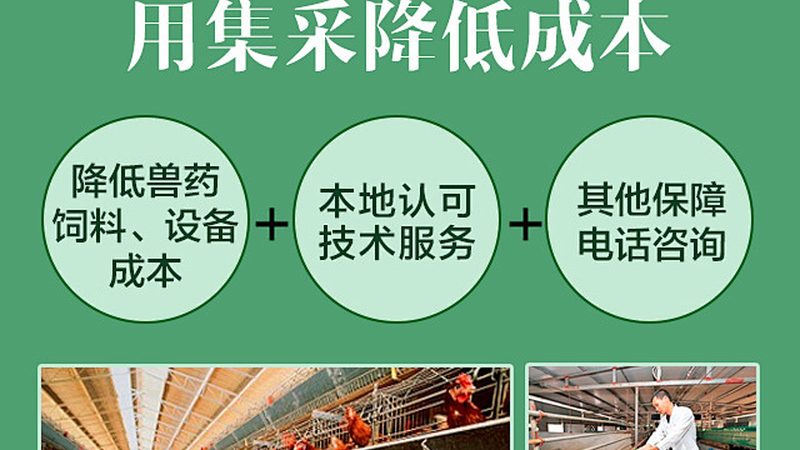 酶制剂报价单模板：如何准确评估成本与价值**