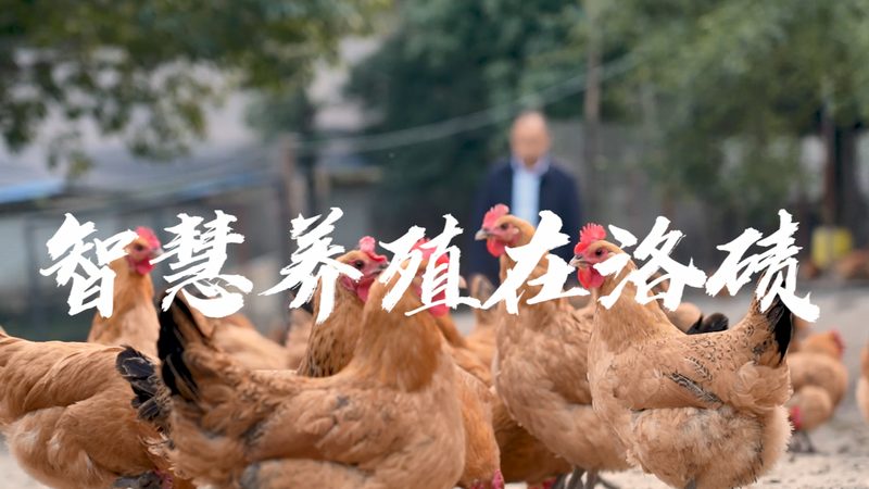 揭秘临床前生物医药外包服务流程：关键环节与注意事项
