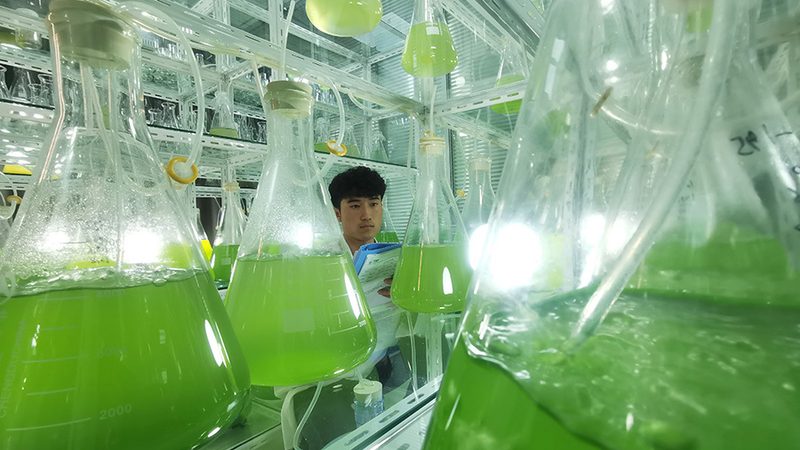 解码上海生物科技公司研发实力：揭秘背后的关键因素**